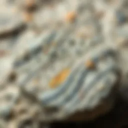 Granite rock sample showcasing its distinctive speckled texture and mineral composition