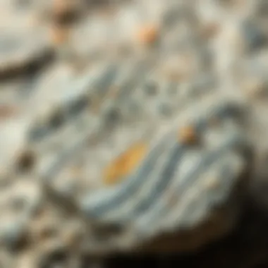 Granite Rock Sample Granite rock sample showcasing its distinctive speckled texture and mineral composition