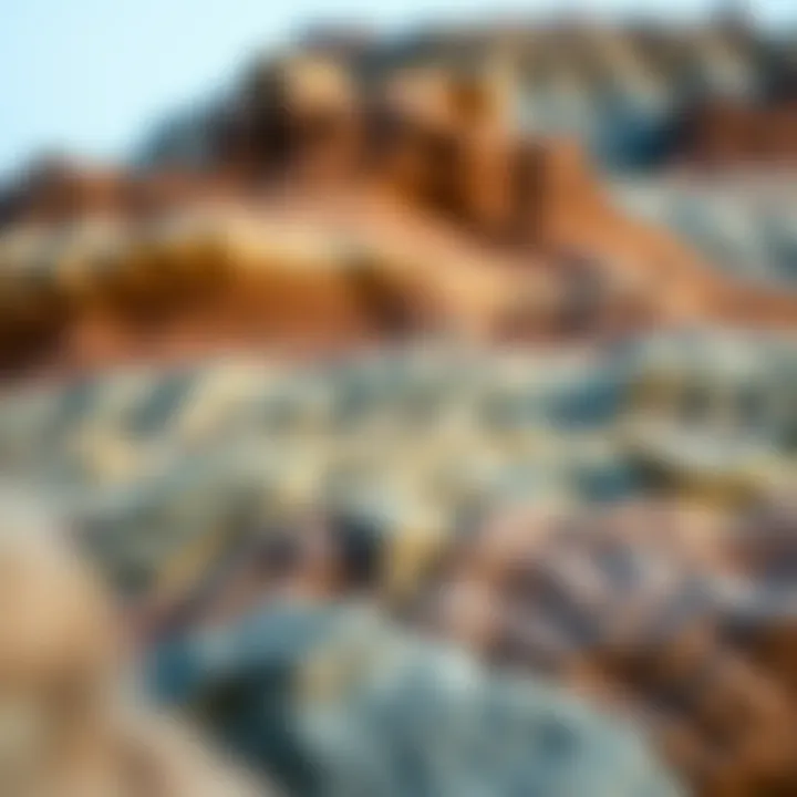 Sedimentary Rock Layers Sedimentary rock layers displaying fossilized remains and unique strata