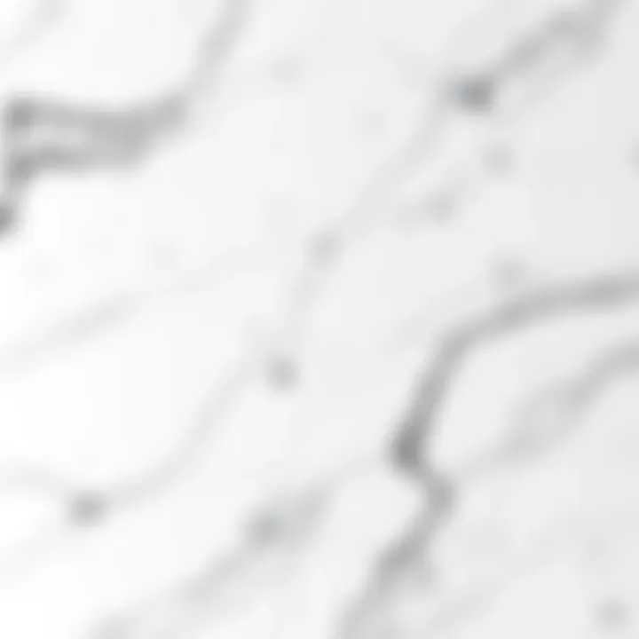 White Granite with Grey Veining A breathtaking display of white granite with intricate grey veining, illustrating its elegant appearance.