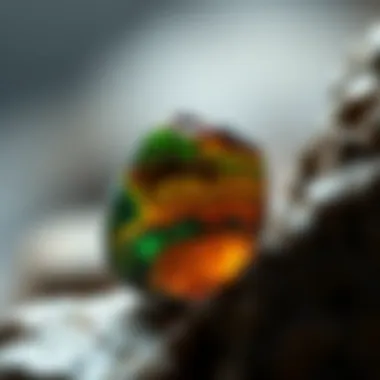 Raw Ammolite and Its Geological Origins Natural ammolite in its raw form, highlighting its geological origins