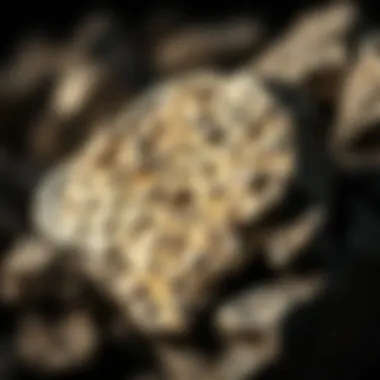 Iron meteorites showcasing metallic luster and crystalline structures