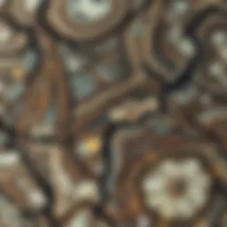 Close-up view of chiastolite displaying unique twinning patterns