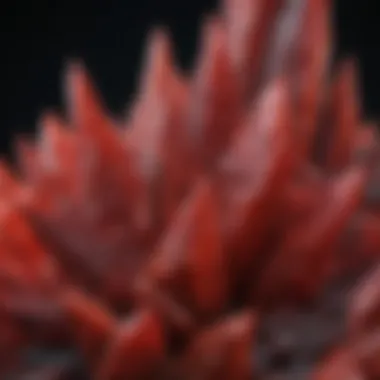 Close-up of cinnabar crystals highlighting their intricate structures