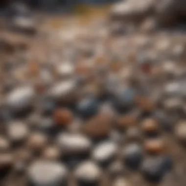 An organized rock collection displayed in a natural setting.