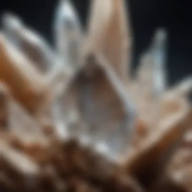 Close-up image of a crystal's unique features under natural light