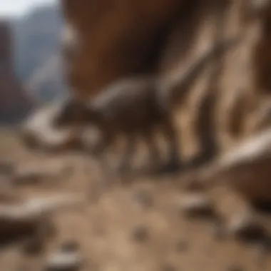 Fossil Discovery: Unearthing Ancient Remains Dinosaur fossils embedded in rock ready for excavation