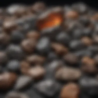 Diverse Meteorite Collection A collection of diverse meteorites representing various classifications