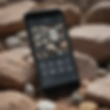 A smartphone displaying a rock identification app interface with various rock samples.