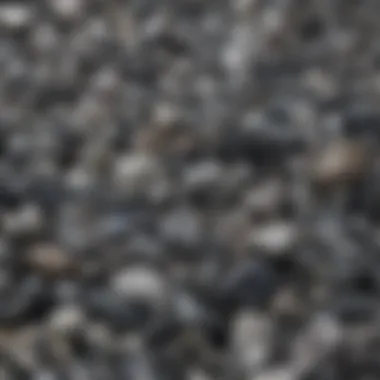 Diverse Collection of Gray Gemstones A collection of various gray gemstones displayed in an elegant arrangement