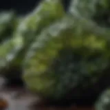 Glistening pieces of moldavite showcasing their unique textures and colors