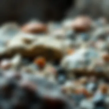 Materials Comparison in Rock Tumbling Comparison between traditional materials and polly plastics