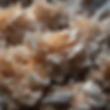 Crystalline Structures of Barite A close-up of crystalline barite formations showcasing its unique structure and luster.