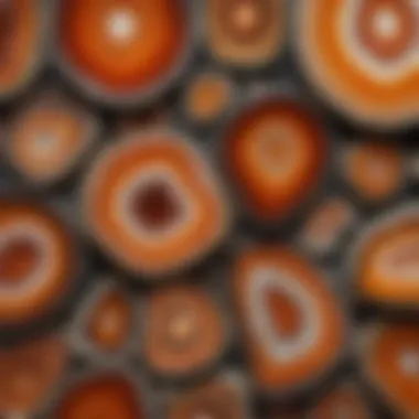 Artistic Display of Polished Agate Slices Collection of beautifully polished Brazilian agate slices displayed artistically