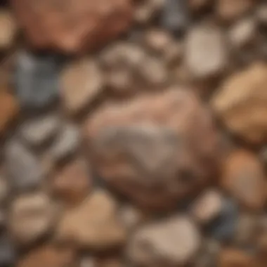 Close-up of unique rock textures and colors found in Colorado's geological sites.