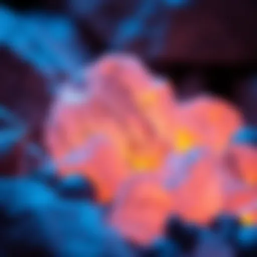 A close-up view of glowing core glow rocks showcasing their vibrant luminescent properties under ultraviolet light.