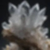 Close-up view of a crystal quartz formation showcasing its clarity and internal structure