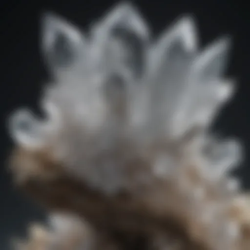 Close-up view of a crystal quartz formation showcasing its clarity and internal structure