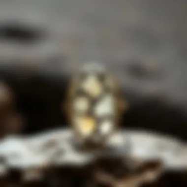 Dinosaur Bone in Elegant Jewelry Dinosaur bone cabochons set in elegant jewelry pieces, highlighting their beauty.