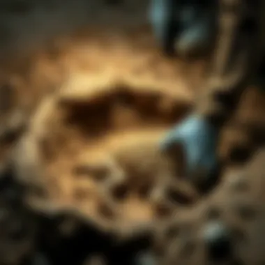 Dinosaur fossil being carefully uncovered by a researcher