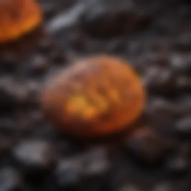 Close-up of a particular fluorescent rock revealing intricate patterns and colors.