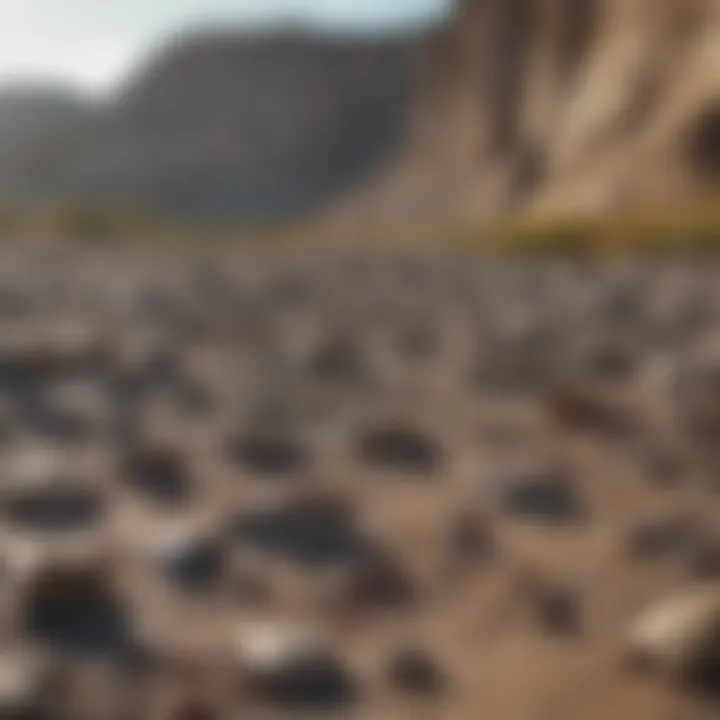 A stunning view of a fossil bed in a natural landscape.