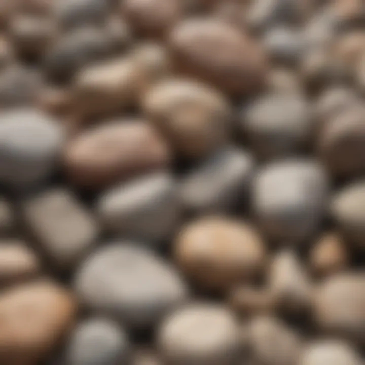 A close-up view of various rock types in a natural setting