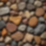 Close-up view of various rock types showcasing their textures and colors