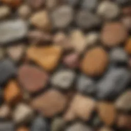 Close-up view of various rock types showcasing their textures and colors
