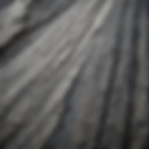 Close-up view of grey rock with intricate white line patterns