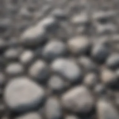 Landscape showcasing a range of grey rocks with white lines in natural setting