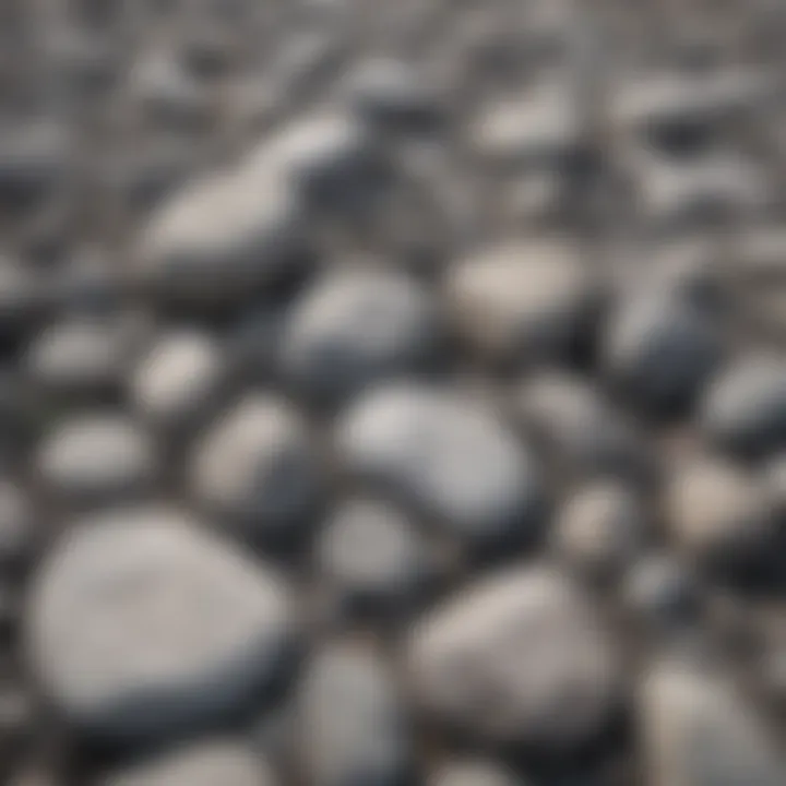 Landscape showcasing a range of grey rocks with white lines in natural setting