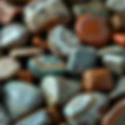 A stunning display of various jasper stones showcasing their unique colors and patterns.