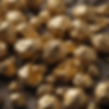 Detailed close-up of various types of gold nuggets found in nature