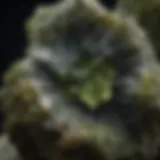 A close-up of a raw moldavite stone showcasing its unique texture and color