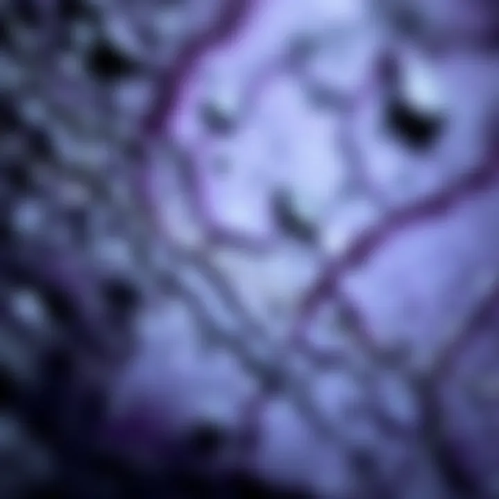 Close-up of a beautiful piece of sugilite, emphasizing its unique patterns and deep violet color.