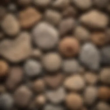 Close-up of various unique rocks and fossils collected from Idaho's landscapes.