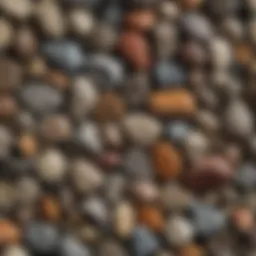 Diverse rock samples showcasing unique textures and colors