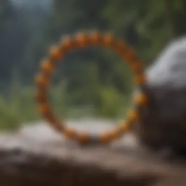Bumblebee Jasper Bracelet in Nature A vibrant bumblebee jasper bracelet displayed against natural scenery