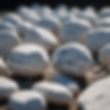 Natural setting highlighting white stones with blue veins in their environment