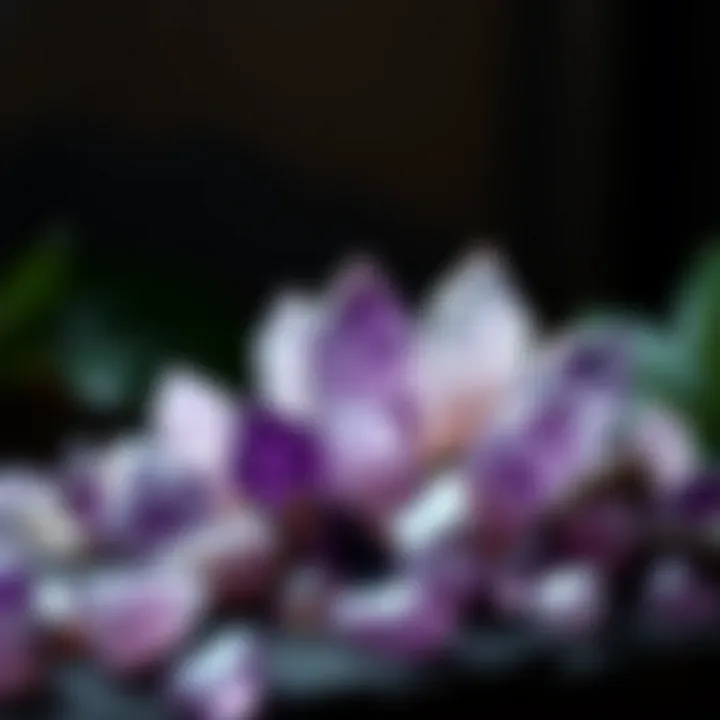 Amethyst crystal points arranged artistically, highlighting their aesthetic appeal
