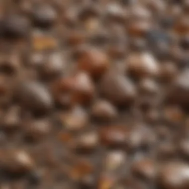 Diverse Variations of Brownish Crystal Stones An array of brownish crystal stones displayed in a natural setting, highlighting their variations