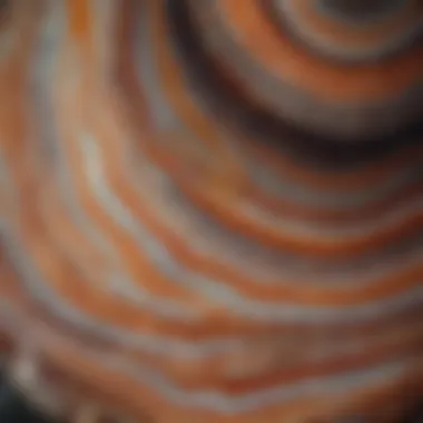 Close-up view of banded agate showcasing its intricate layers