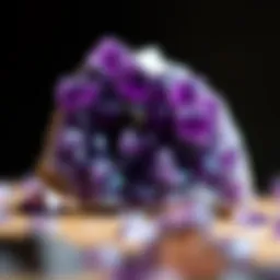 A stunning cluster of amethyst showcasing its rich purple hues and crystalline structure