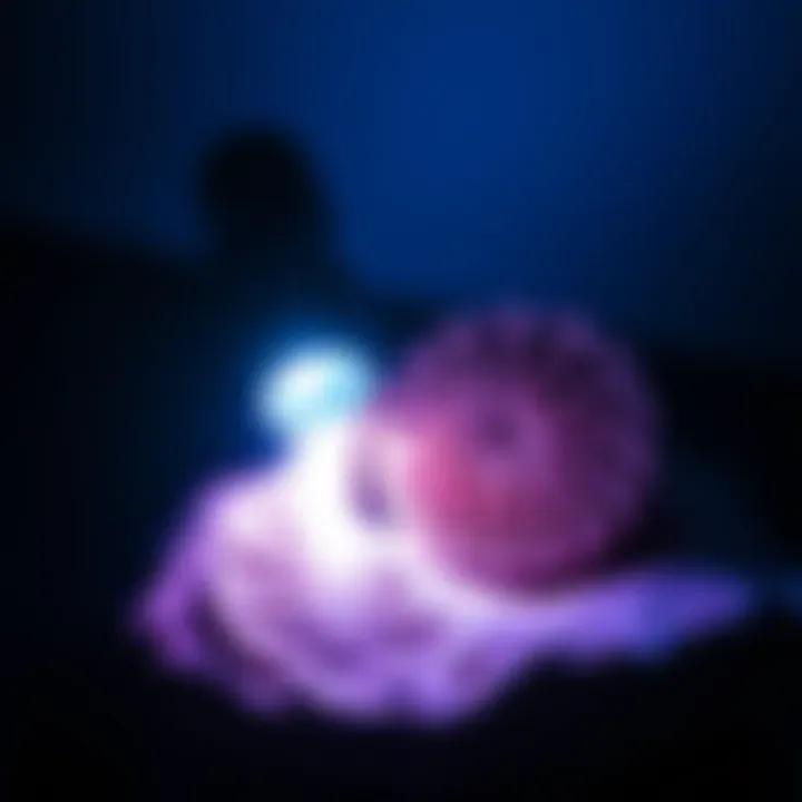 UV flashlight illuminating a fossil specimen