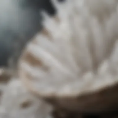 Close-up of selenite bowl highlighting the mineral's unique textures