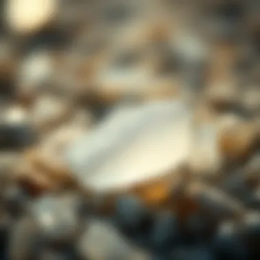 Close-up of a piece of sea glass glistening in the sunlight