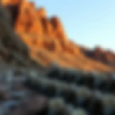 Geological Formations of Dinosaur Bone Discoveries Natural landscape revealing geological formations where dinosaur bones are found