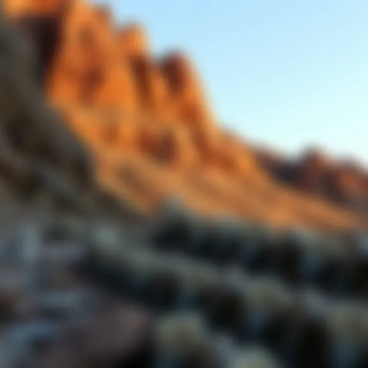 Geological Formations of Dinosaur Bone Discoveries Natural landscape revealing geological formations where dinosaur bones are found