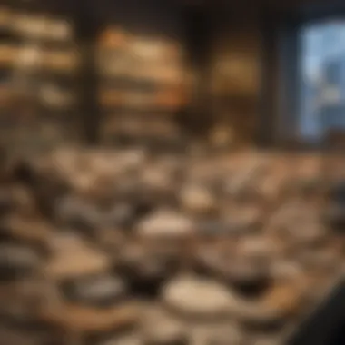 Diverse Fossil Collection A stunning display of various fossils in a New York City store